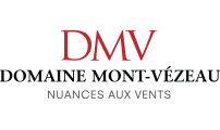 logo DMV